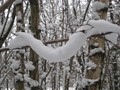 Naturally occuring snow sculpture400px